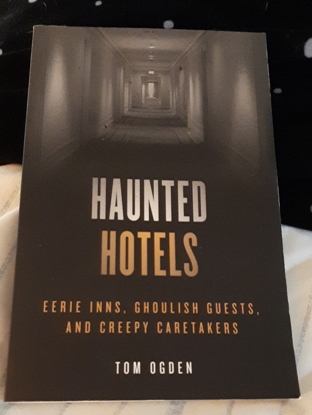 Haunted Hotels by Tom Ogden - Black & Gold Paperback, Great Shape!